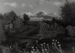 Tall thumb mark mahaney 320e694d