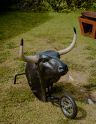 Tall thumb mark mahaney 6bc64b23