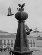 Tall thumb mark mahaney c47999d7