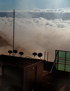 Tall thumb mark mahaney fb13c503