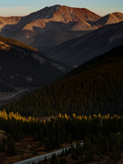 Tall thumb mark mahaney 28ccaa1b