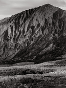 Tall thumb mark mahaney ee457783