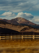 Tall thumb mark mahaney b9bfaaae