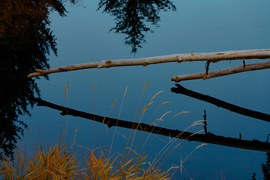 Tall thumb mark mahaney 973583c0