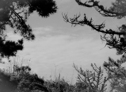 Tall thumb mark mahaney 332739a8